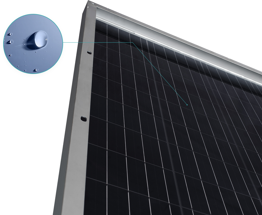 BG����(�й�)Ψһ�ٷ���վ