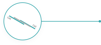 BG����(�й�)Ψһ�ٷ���վ